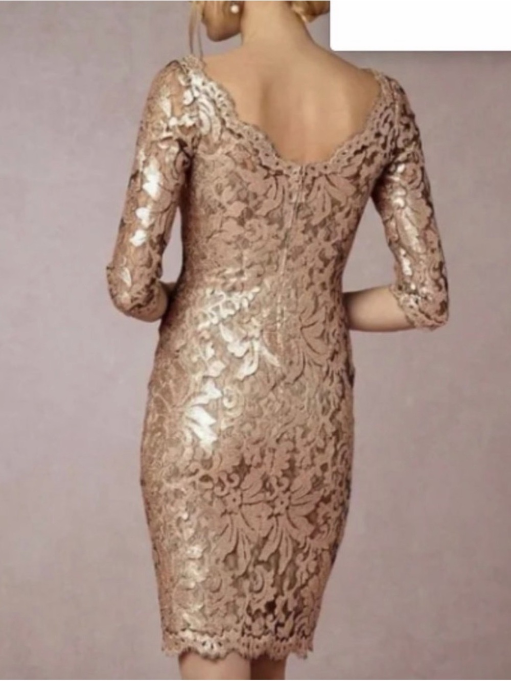 Tadashi Shoji Corded Embroidery on Tulle 3/4 Sleeve Dress Size 12